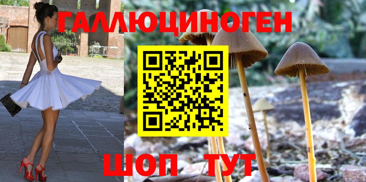 Галлюциногенные грибы мухоморы  хочу наркоту  Саяногорск  Вход с VPN 