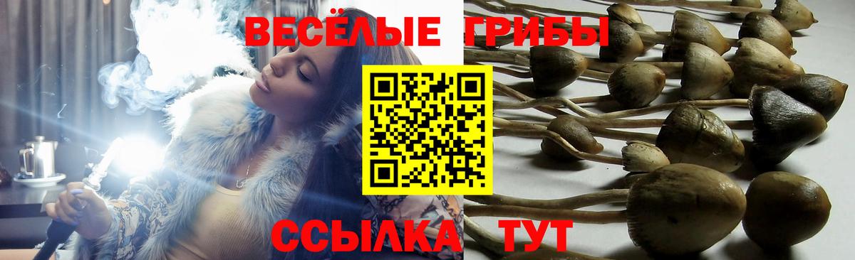Галлюциногенные грибы мухоморы Саяногорск